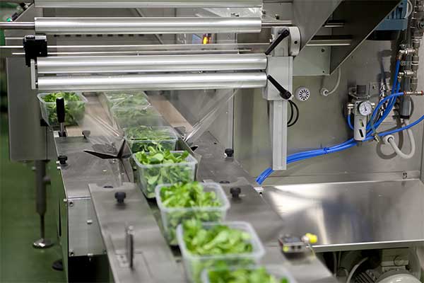 瓜果蔬菜全自動脫水蔬菜海角网站登录入囗